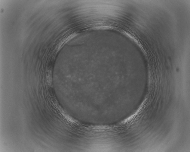 X0000057090889200509301548