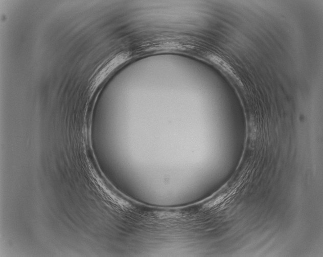 X0000057090890200509301548