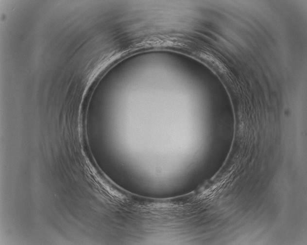 X0000057090894200509301548