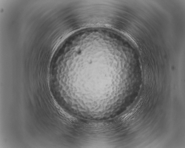 X0000057090895200509301548