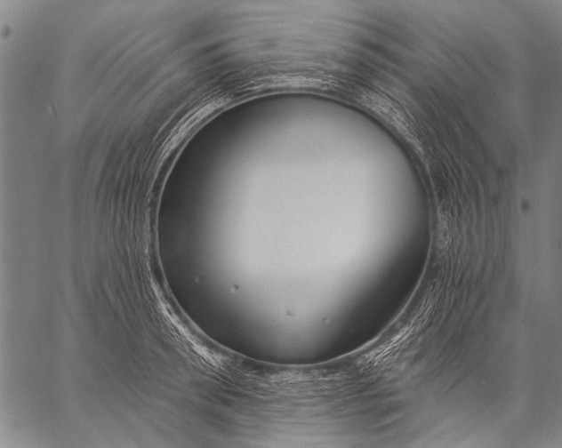 X0000057090898200509301548