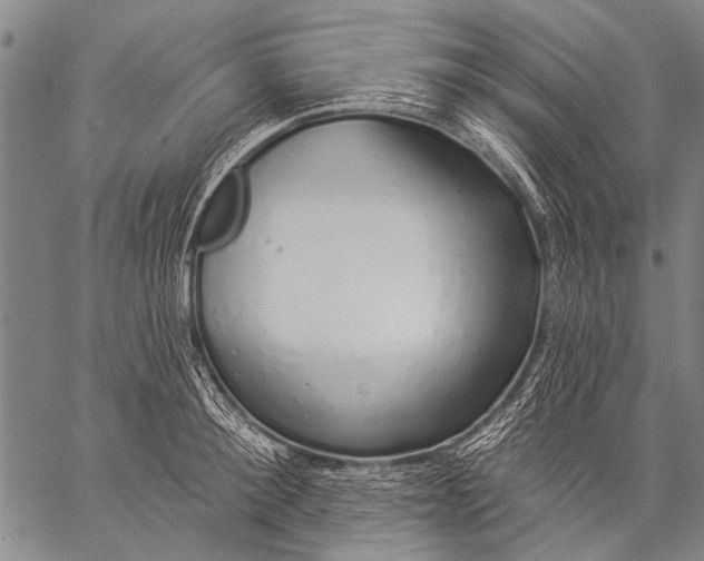 X0000057090900200509301548