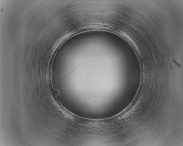 X0000057090901200509301548