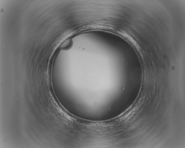 X0000057090902200509301548