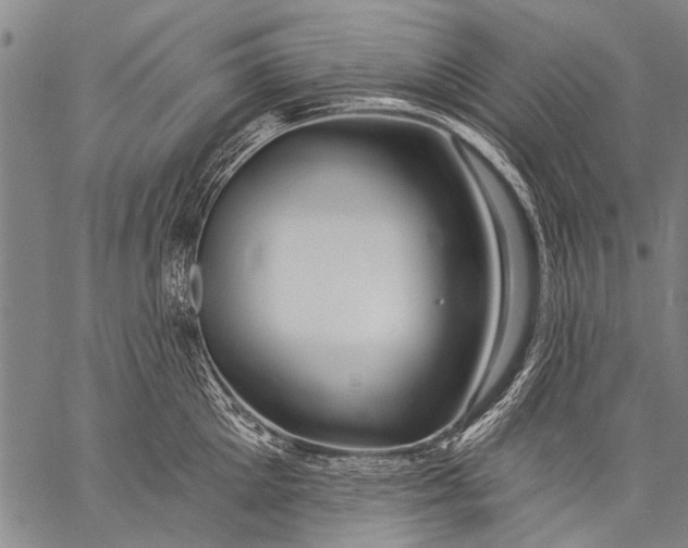 X0000057090905200509301548