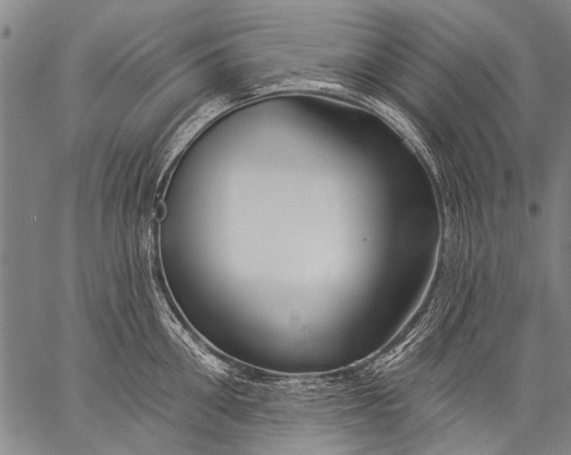 X0000057090906200509301548