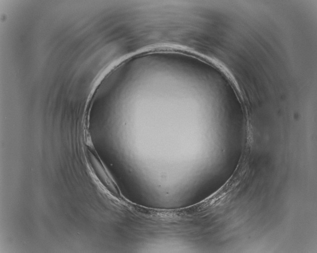 X0000057090911200509301547