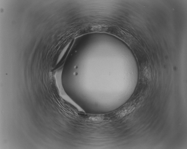 X0000057090914200509301547