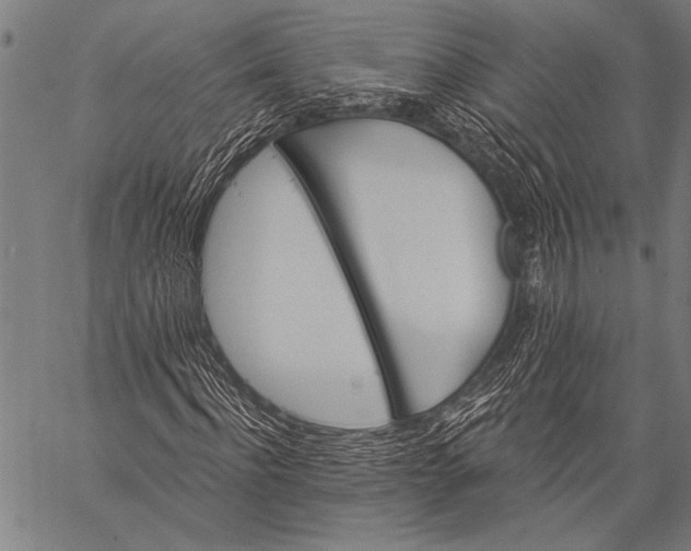 X0000057090916200509301547