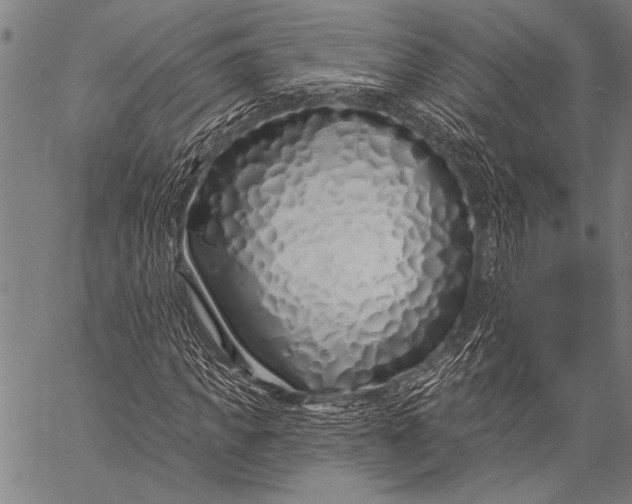 X0000057090917200509301547