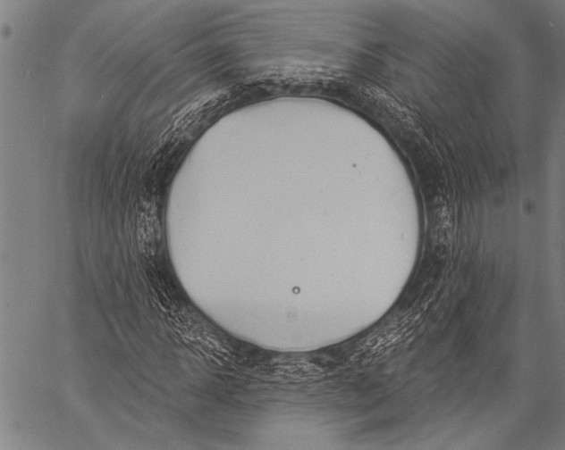 X0000057090918200509301547