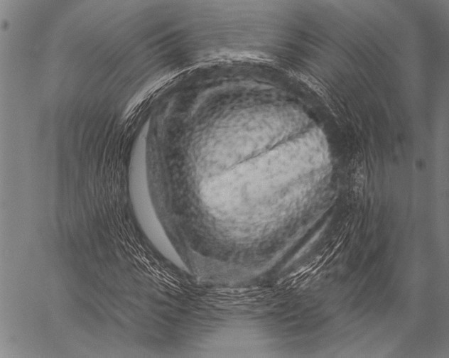 X0000057090919200509301547