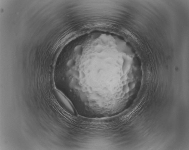 X0000057090921200509301547