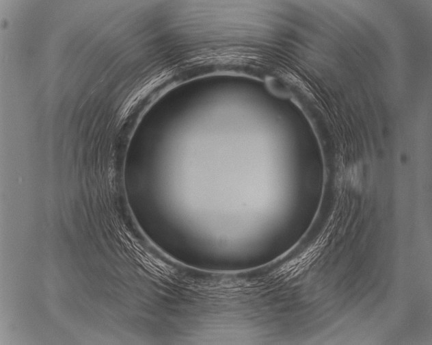 X0000057090922200509301547