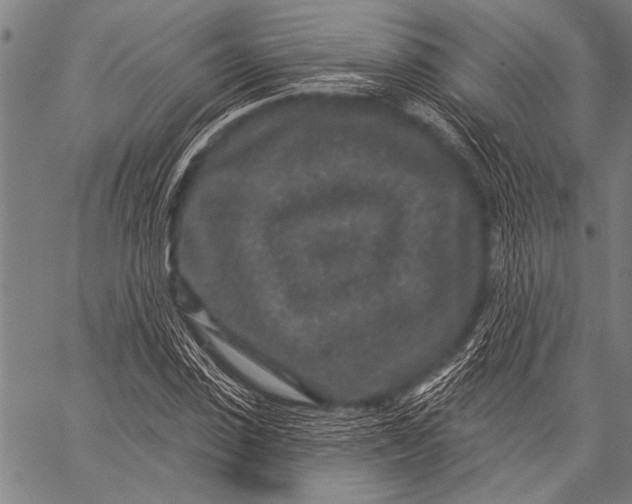 X0000057090923200509301547