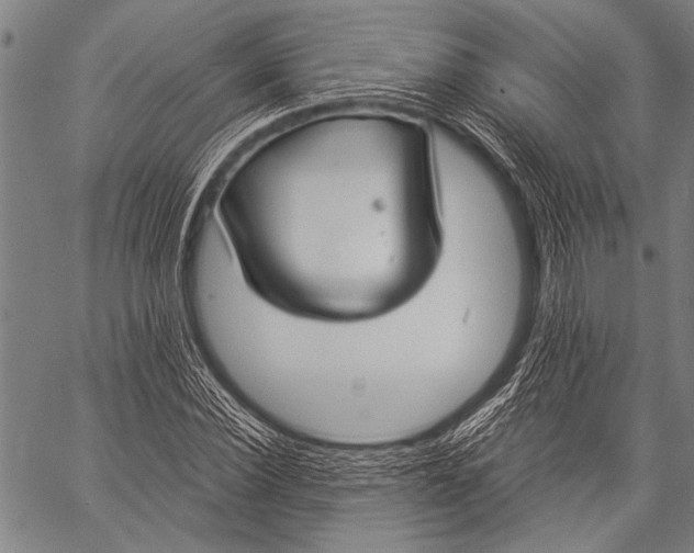 X0000057090924200509301547