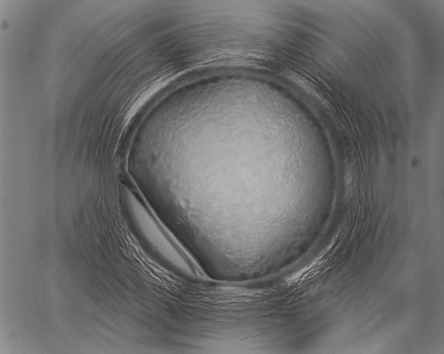 X0000057090925200509301547