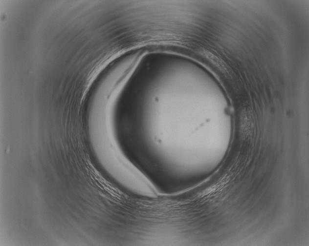 X0000057090926200509301547