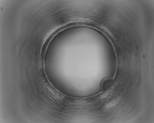 X0000057090927200509301547