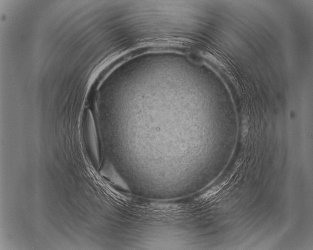 X0000057090928200509301547