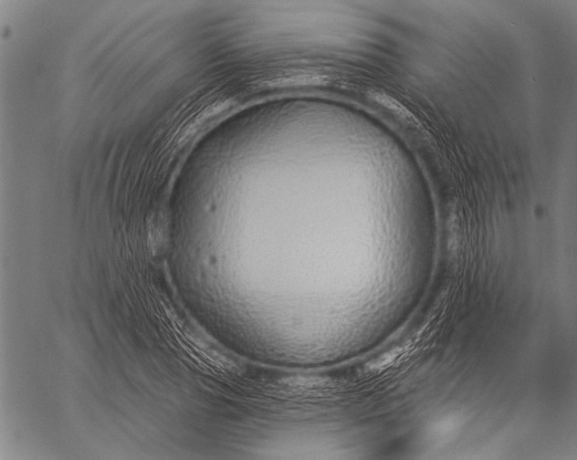 X0000057090929200509301547