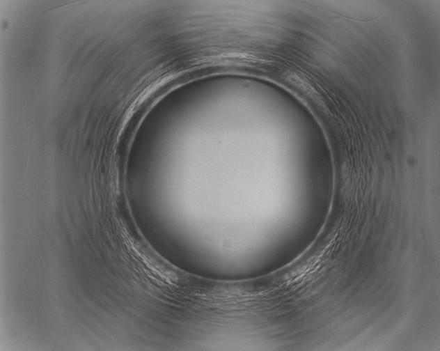 X0000057090931200509301547