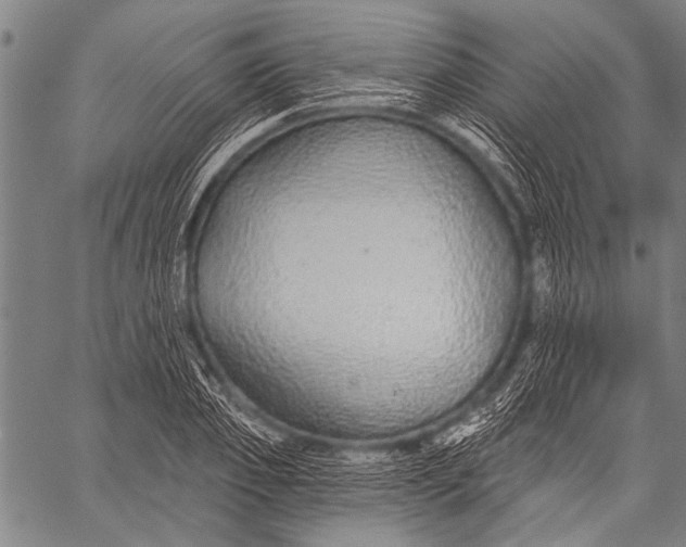 X0000057090933200509301547