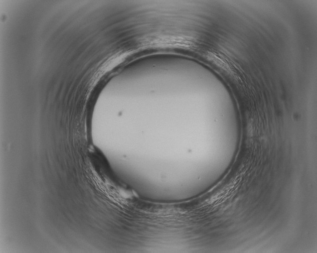 X0000057090934200509301547