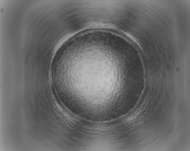 X0000057090935200509301547