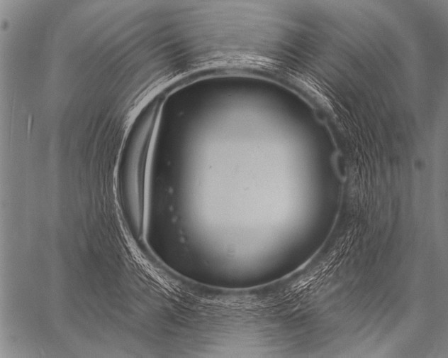 X0000057090936200509301547