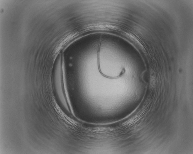 X0000057090938200509301547