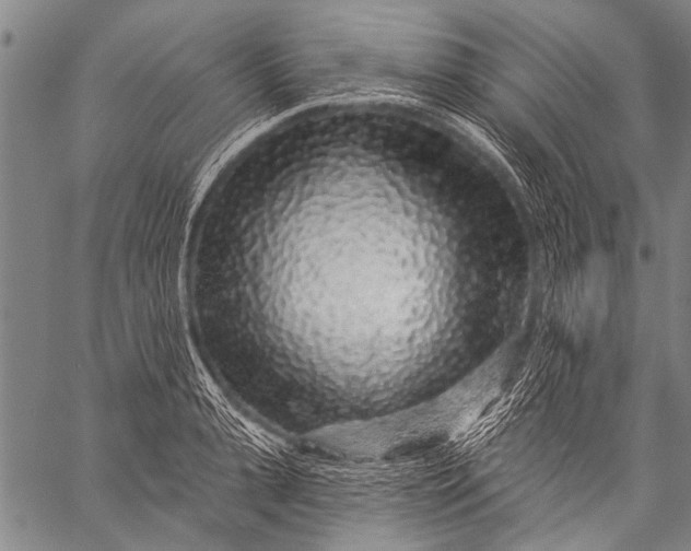 X0000057090943200509301547