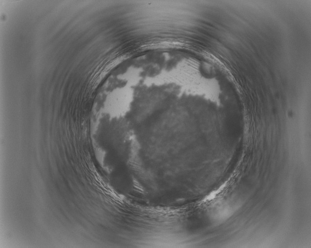 X0000057090945200509301547