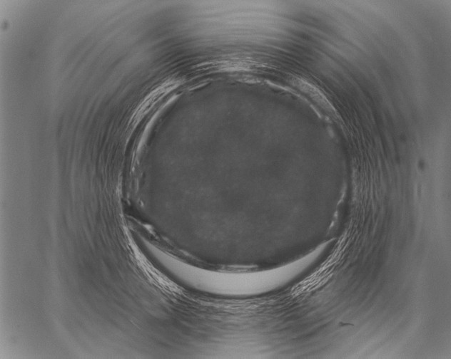 X0000057090946200509301547