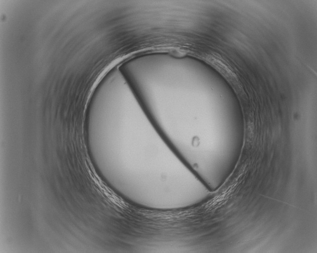 X0000057090948200509301547