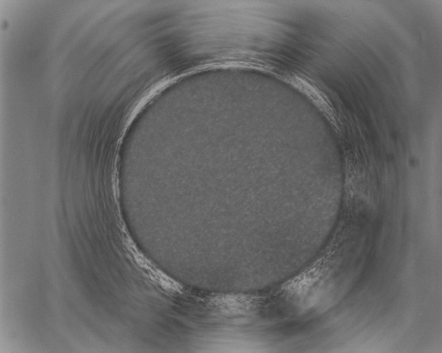 X0000057090950200509301547