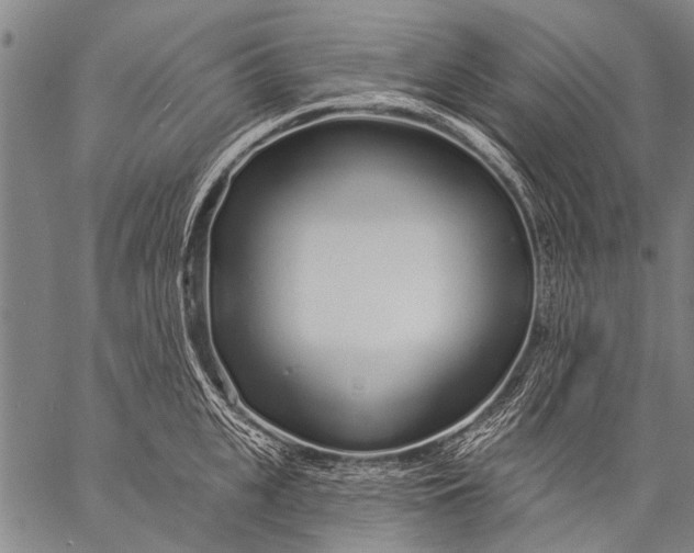 X0000057090951200509301547