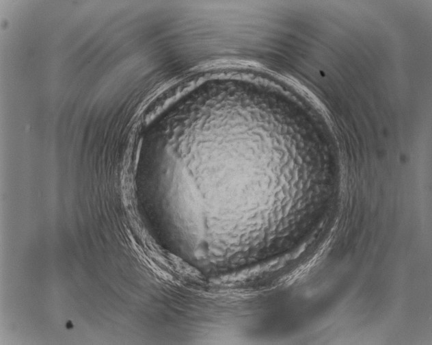 X0000057090953200509301547