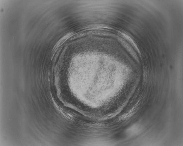 X0000057090954200509301547