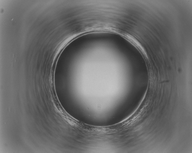 X0000057090956200509301547