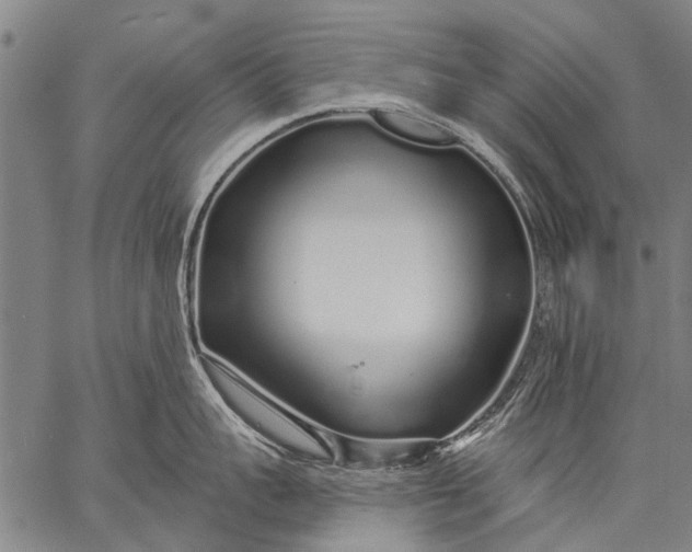 X0000057090959200509301547