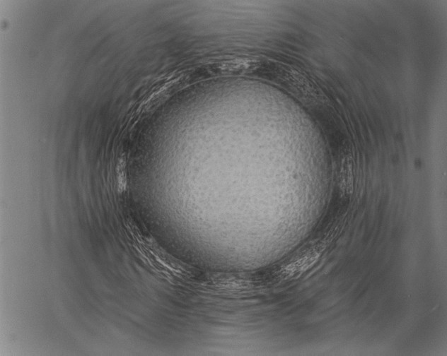 X0000057090962200509301547