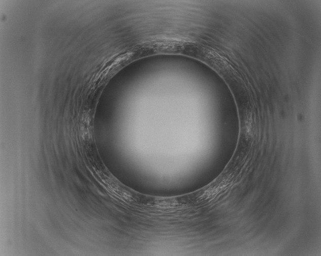 X0000057090964200509301547