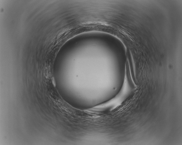 X0000057090965200509301547