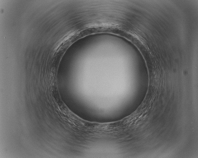 X0000057090967200509301547