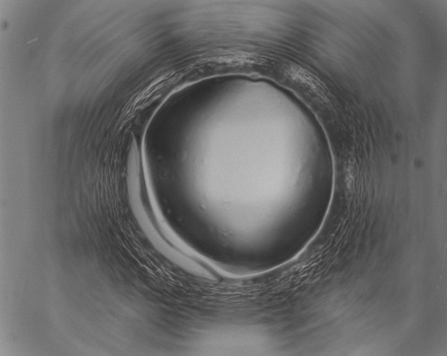 X0000057090968200509301547