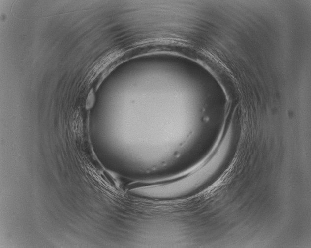 X0000057090969200509301547