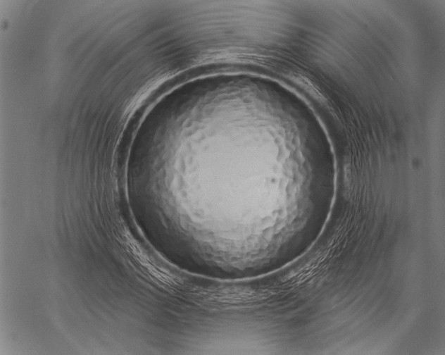 X0000057090972200509301546