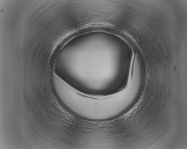 X0000057090973200509301546