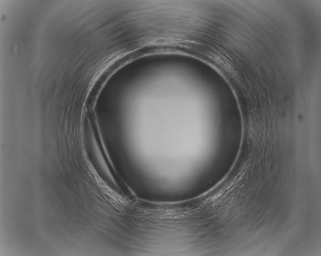 X0000057090976200509301546